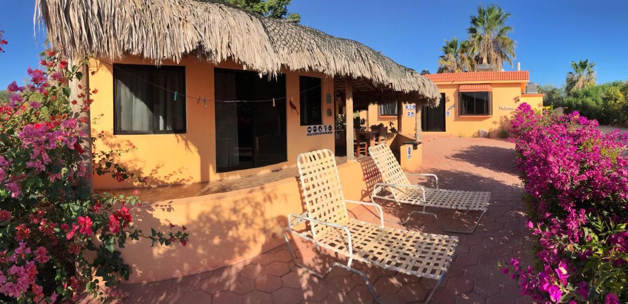 Bungalows Cabo Pulmo Exterior photo